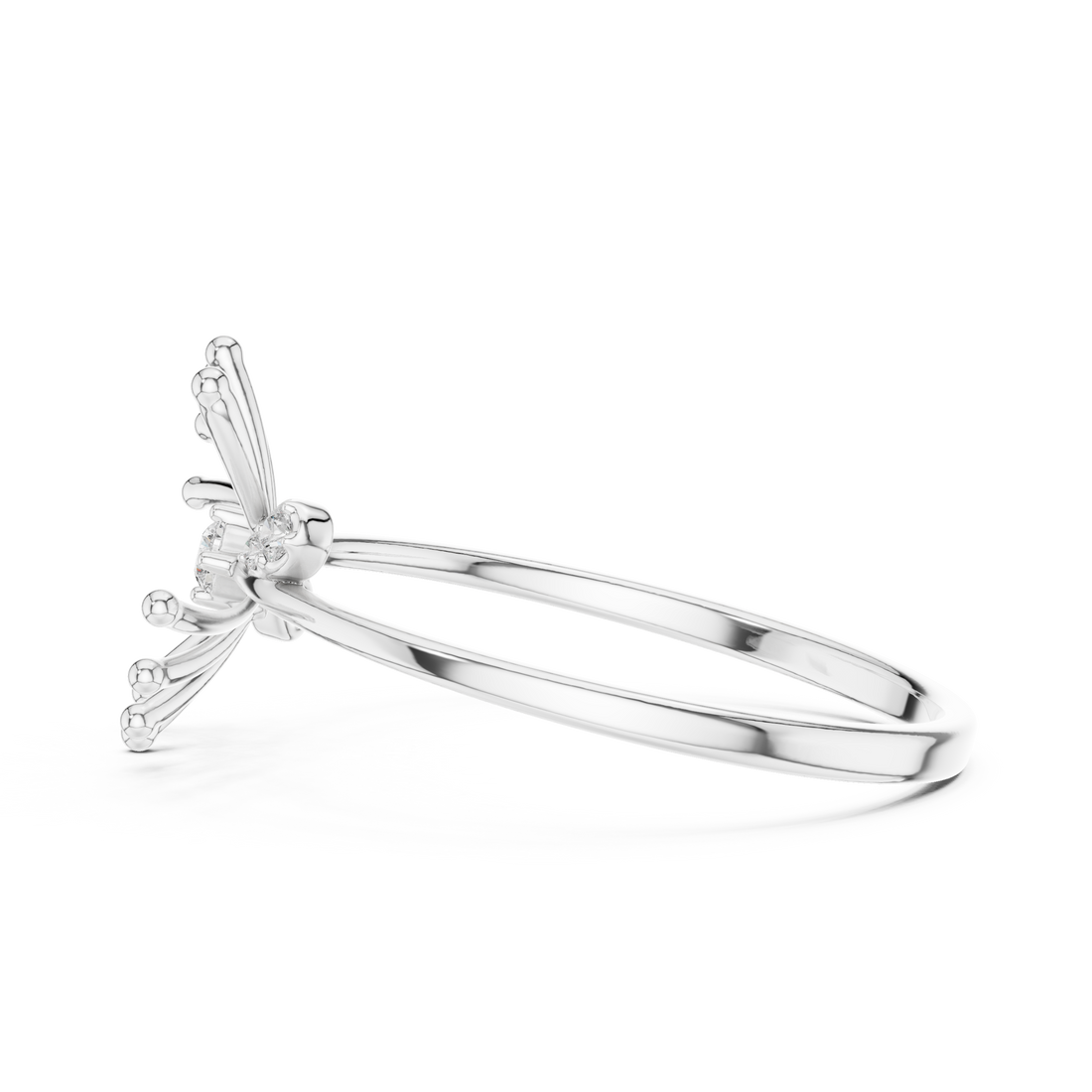 The Solar Flare Ring