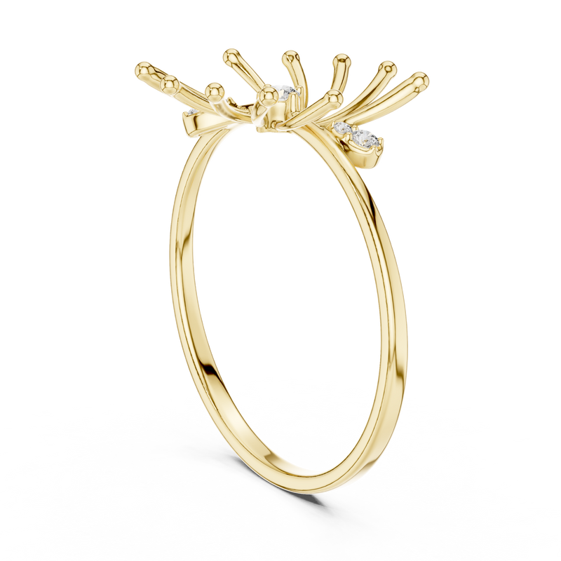 The Solar Flare Ring
