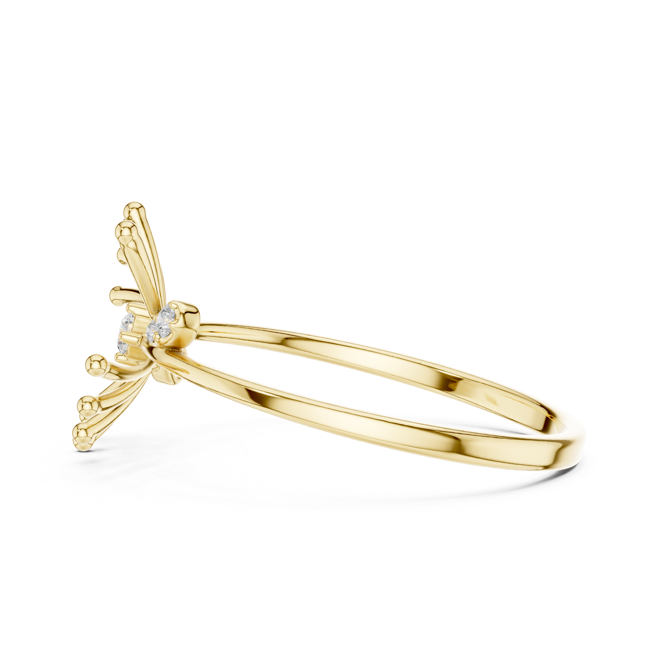 The Solar Flare Ring