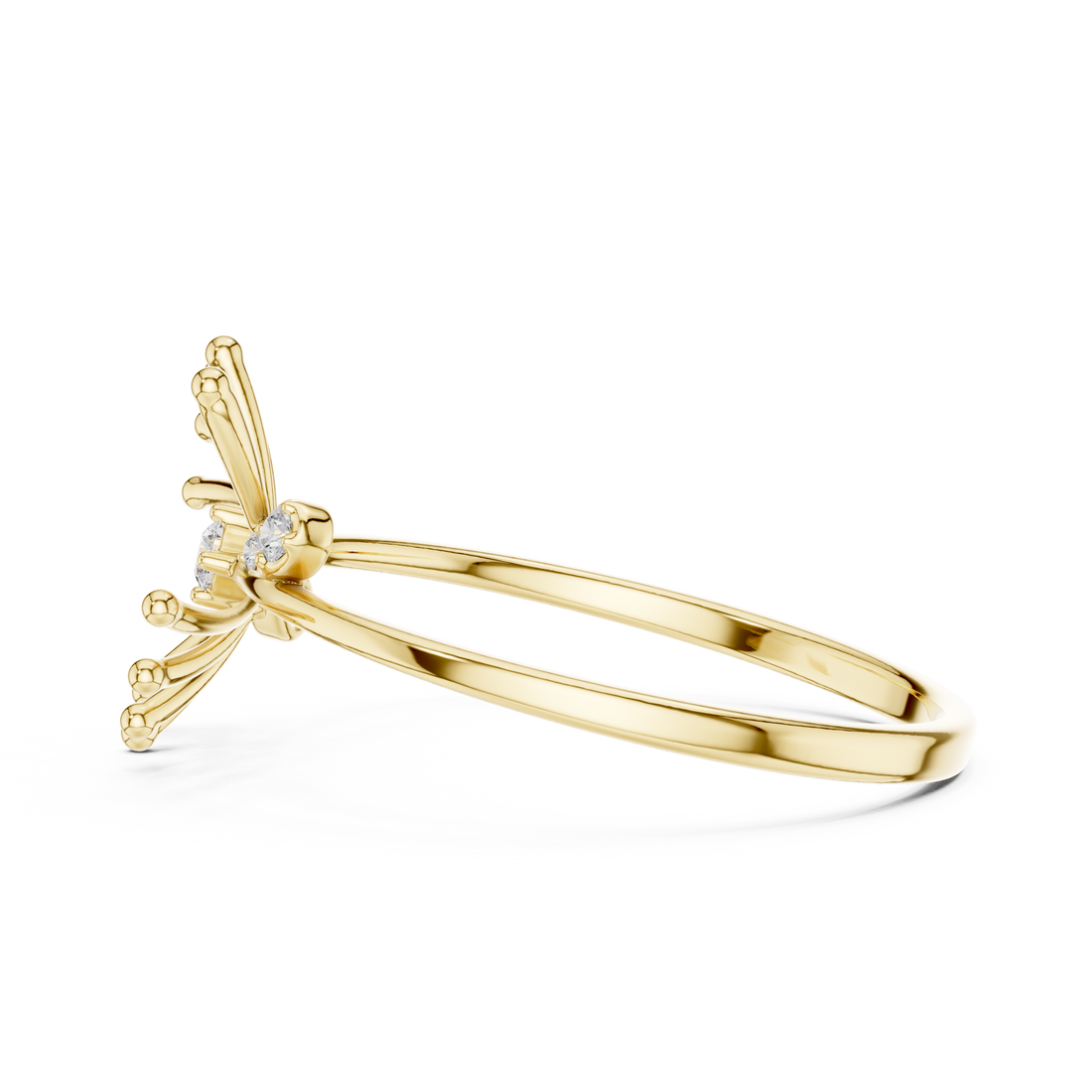 The Solar Flare Ring