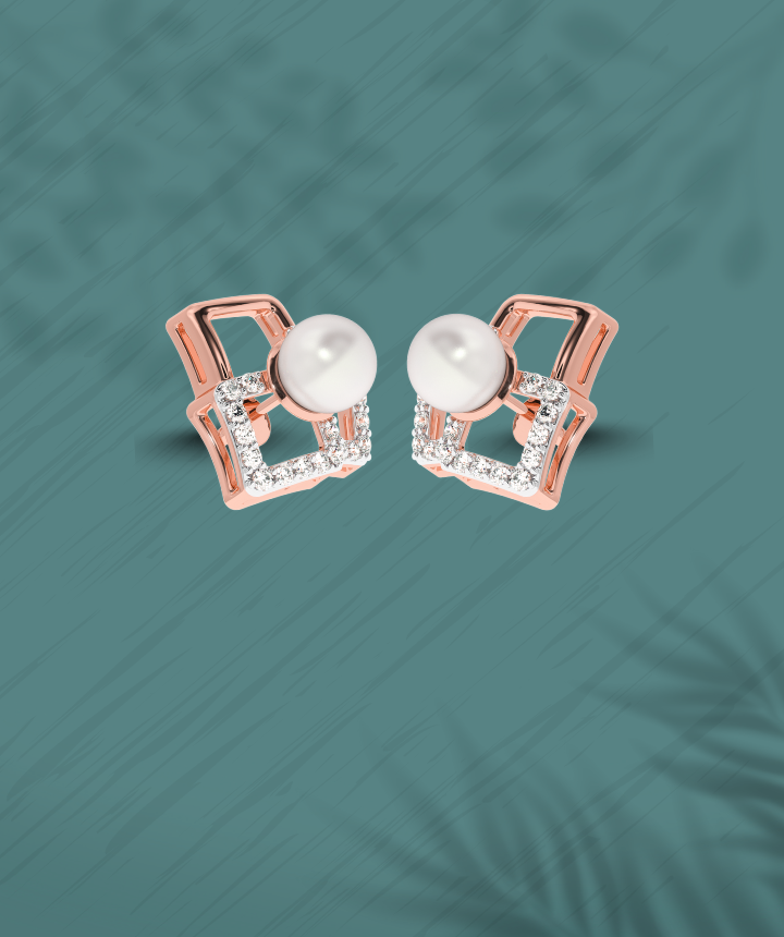 Shop Our Latest Collection